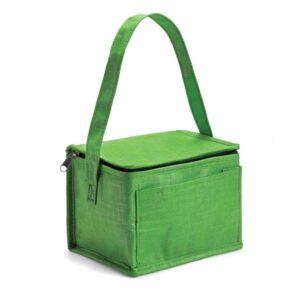 Griffin Cooler Bag Lime