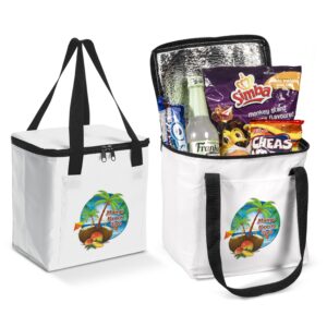 Arctic 12-Can Cooler