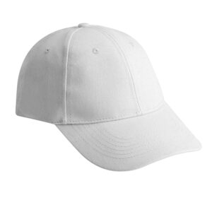 6 Panel Heavy Brush White