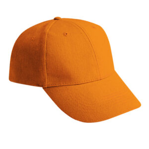 6 Panel Heavy Brush Orange